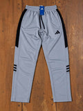 AD TROUSER (silver)